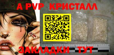прущие грибы Ярославль