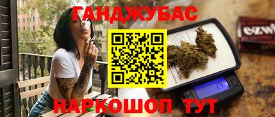 прущие грибы Ярославль