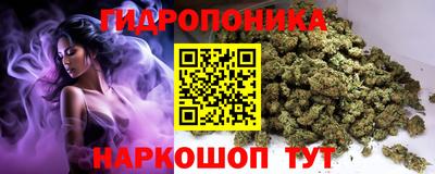 прущие грибы Ярославль