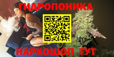 прущие грибы Ярославль