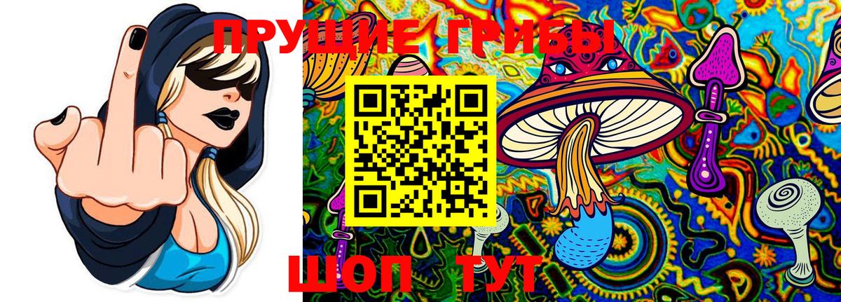 Кушва  Галлюциногенные грибы GOLDEN TEACHER  Вход с VPN 